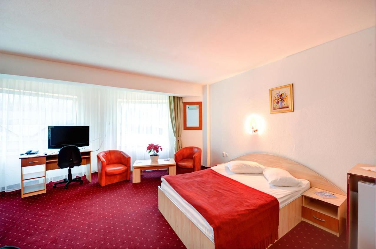 Отель Hotel Cornul Vanatorului Питешти-37