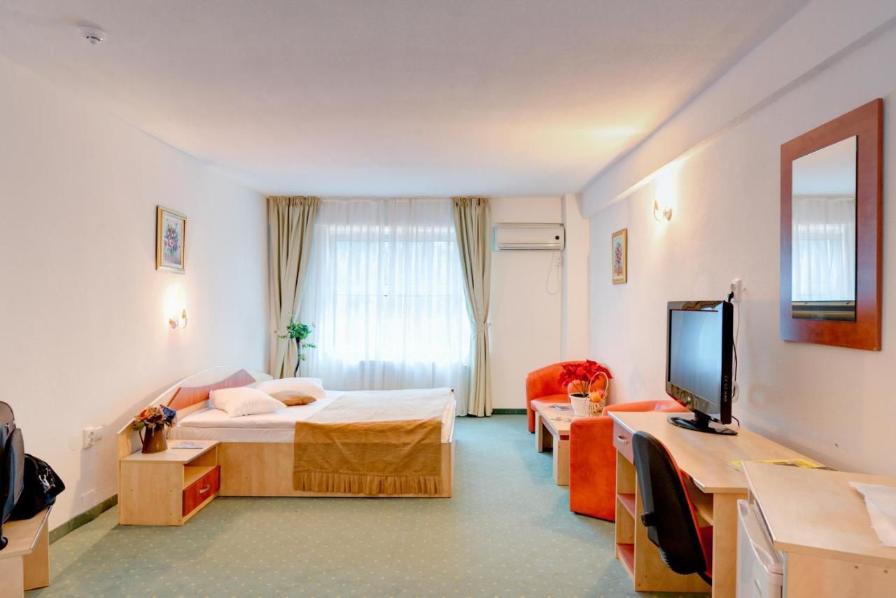 Отель Hotel Cornul Vanatorului Питешти-39
