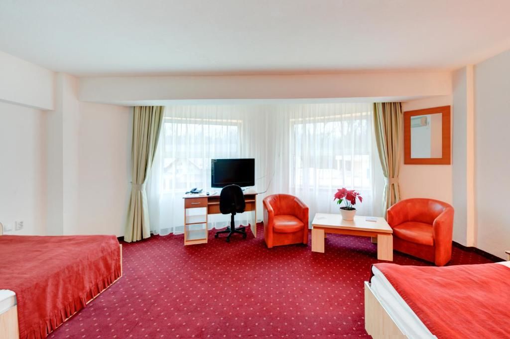 Отель Hotel Cornul Vanatorului Питешти-54