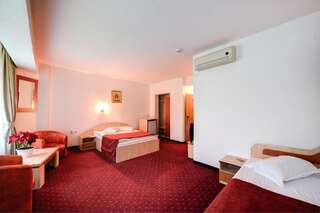 Отель Hotel Cornul Vanatorului Питешти Двухместный номер с 2 отдельными кроватями-4
