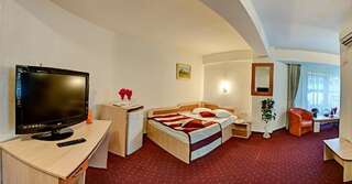 Отель Hotel Cornul Vanatorului Питешти Двухместный номер с 2 отдельными кроватями-11