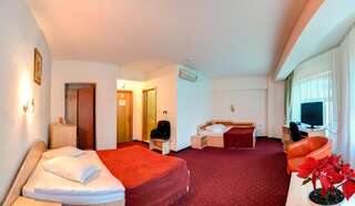 Отель Hotel Cornul Vanatorului Питешти Двухместный номер с 2 отдельными кроватями-13